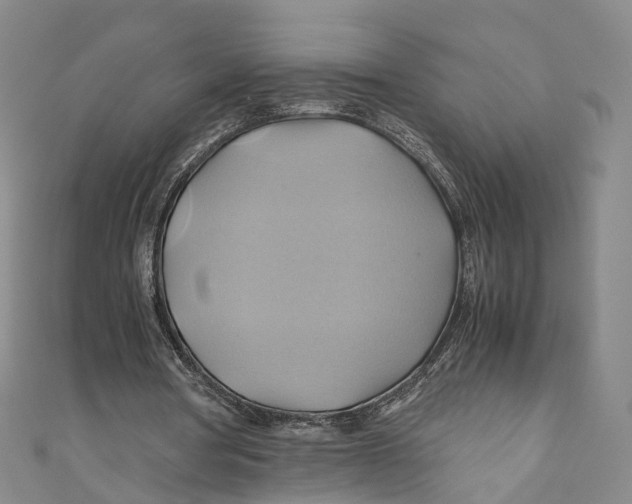 X0000110970386200907101353