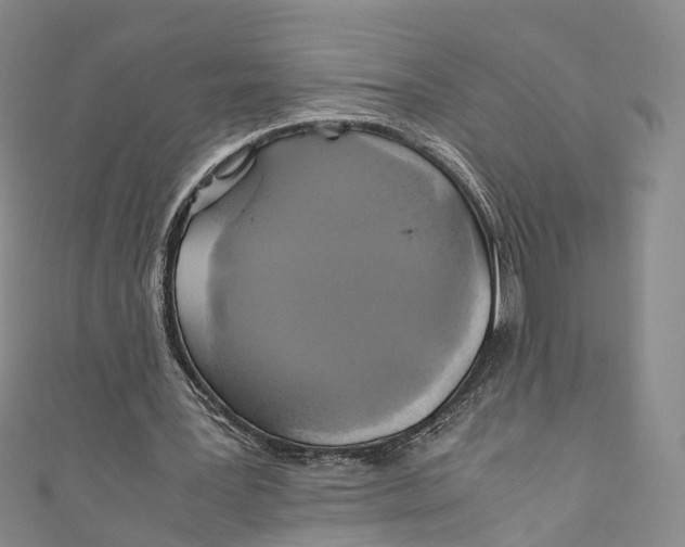 X0000110970387200907101353