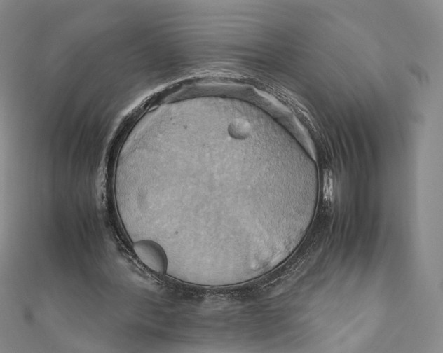 X0000110970388200907101353