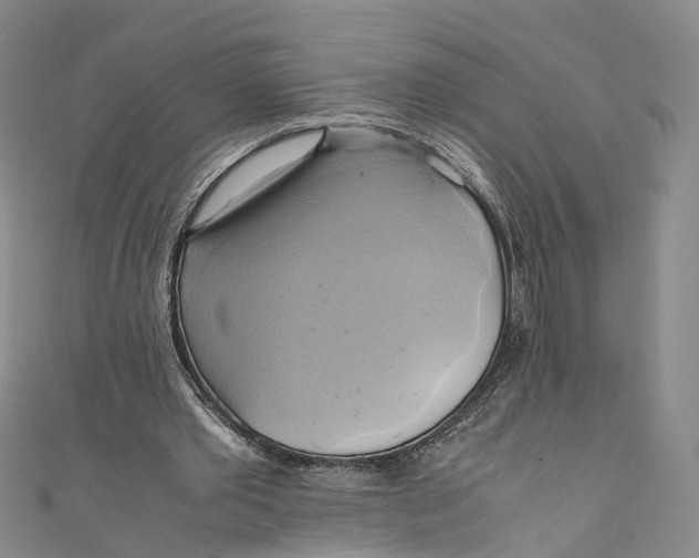 X0000110970389200907101353