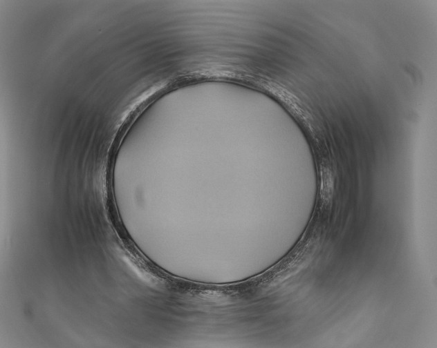 X0000110970390200907101353