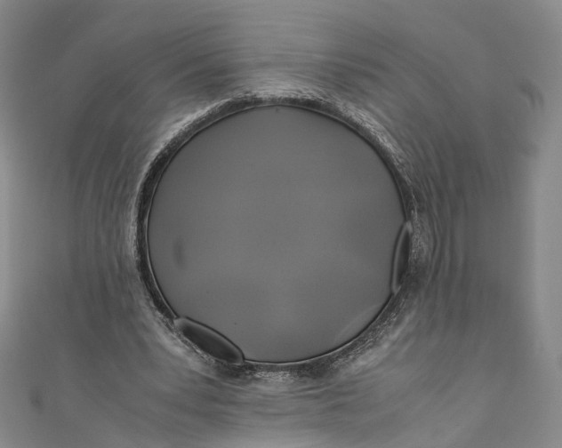 X0000110970391200907101353