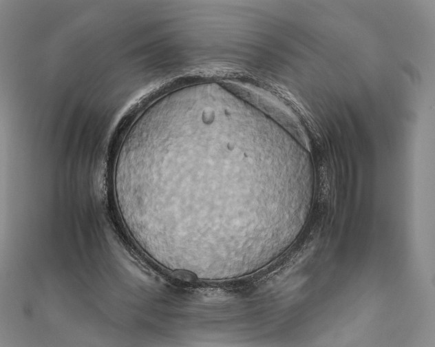 X0000110970392200907101353