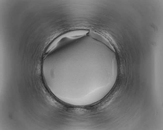 X0000110970393200907101353