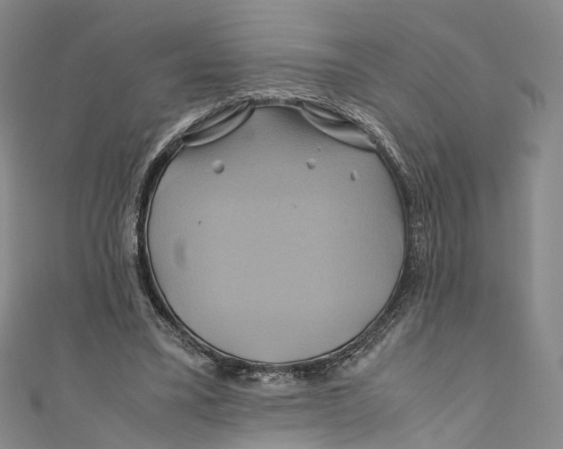 X0000110970395200907101353