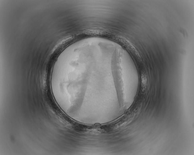 X0000110970396200907101353