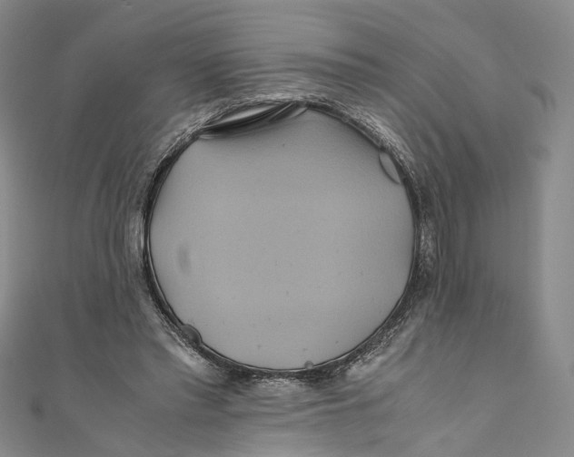 X0000110970397200907101353