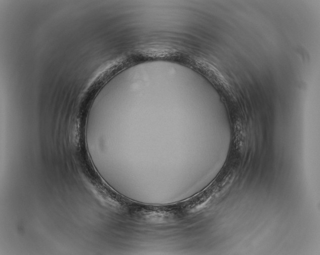 X0000110970400200907101353