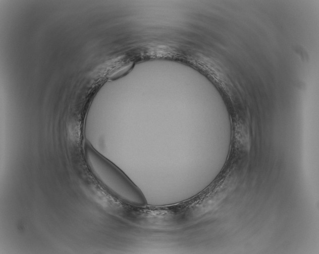 X0000110970401200907101353