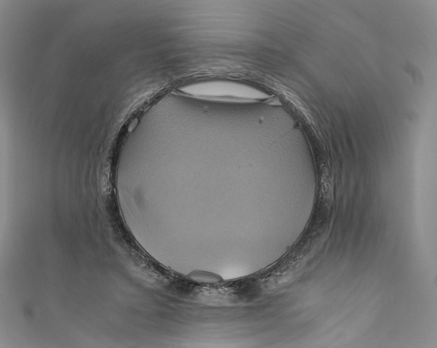 X0000110970403200907101353