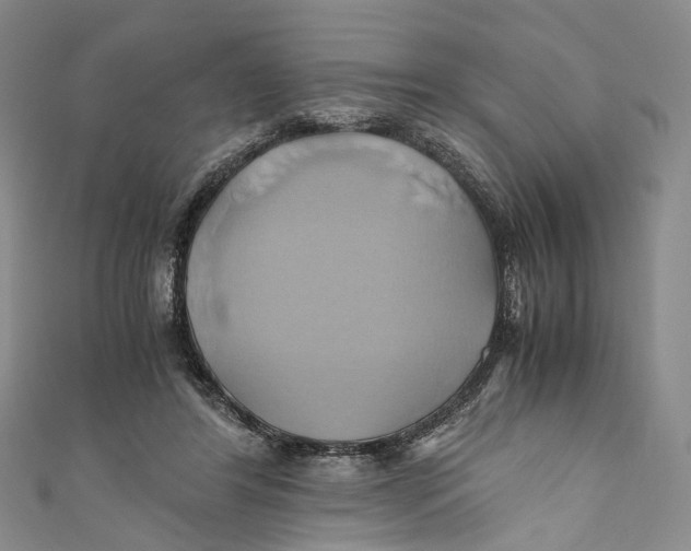 X0000110970404200907101353