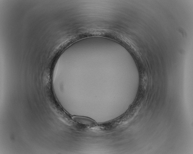 X0000110970407200907101353