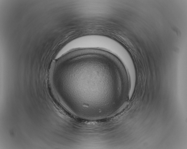 X0000110970409200907101353