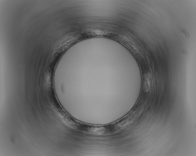 X0000110970410200907101353