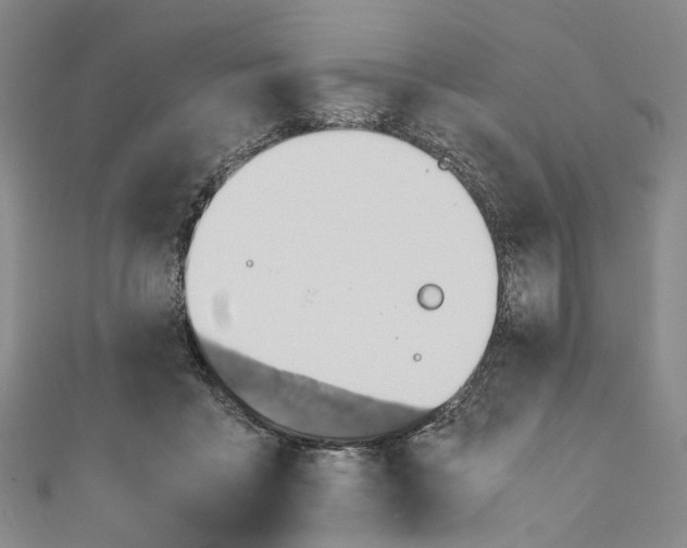 X0000110970411200907101353