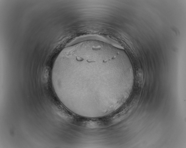 X0000110970412200907101353