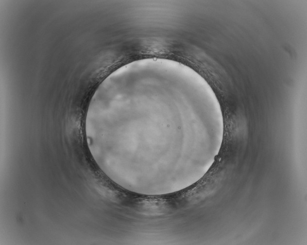 X0000110970415200907101353