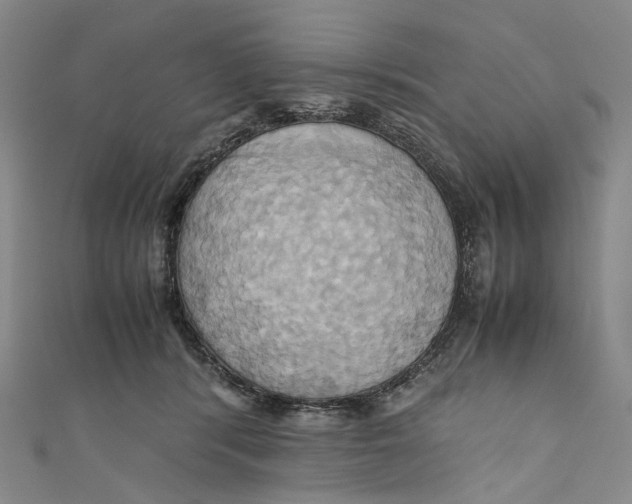 X0000110970416200907101353