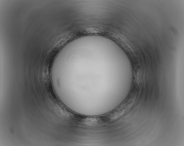 X0000110970418200907101353