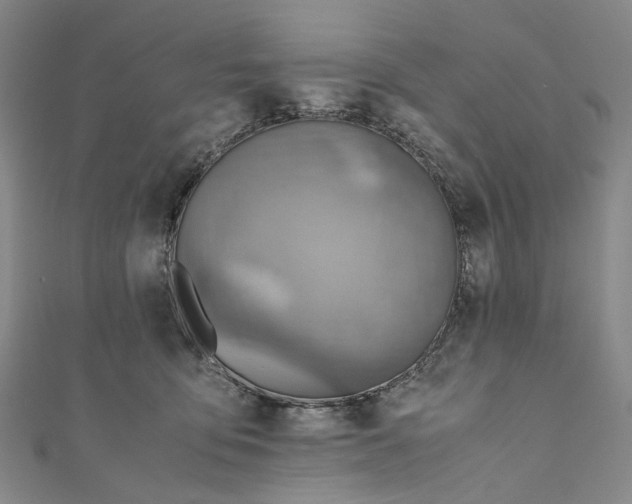 X0000110970419200907101353