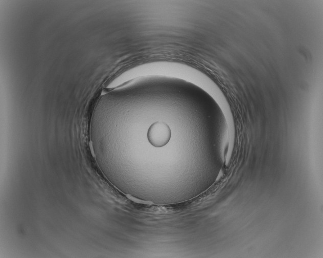 X0000110970421200907101352