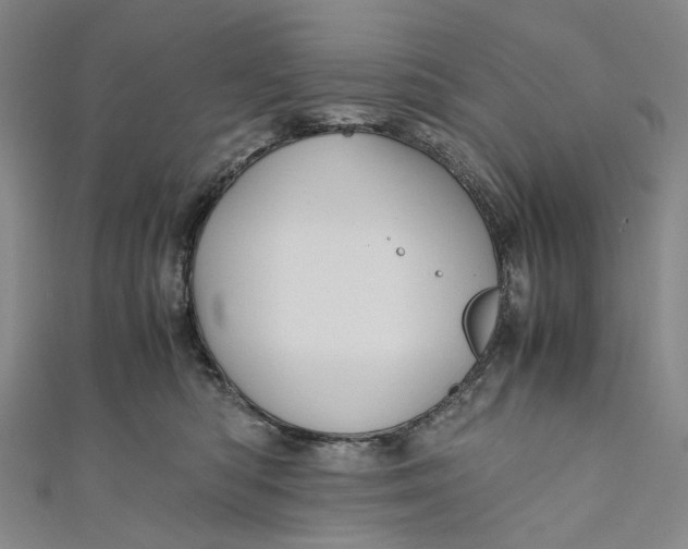 X0000110970422200907101352