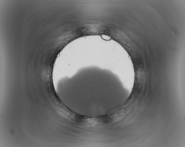 X0000110970423200907101352