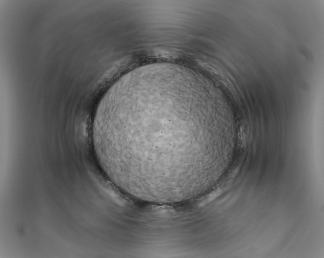 X0000110970424200907101352