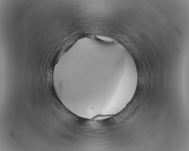 X0000110970425200907101352