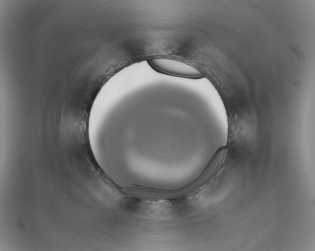 X0000110970427200907101352