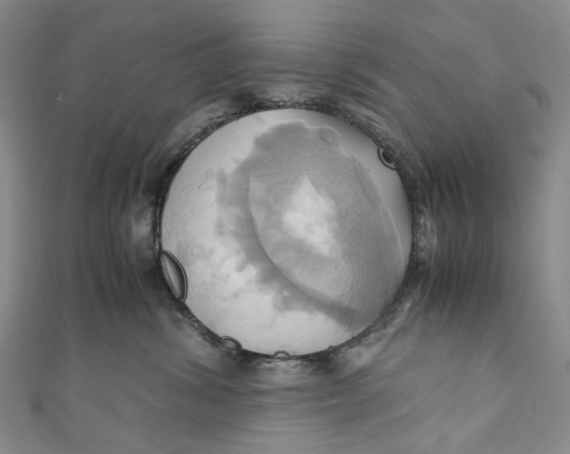 X0000110970428200907101352