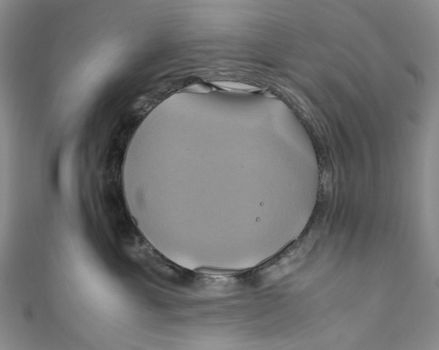 X0000110970429200907101352