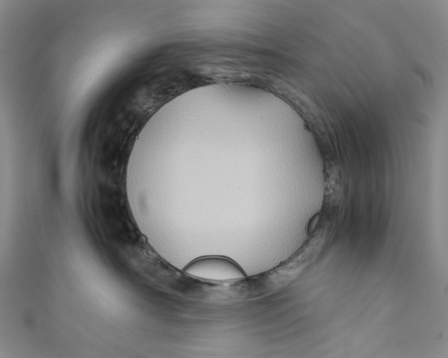 X0000110970430200907101352