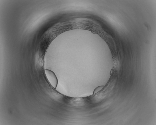 X0000110970431200907101352