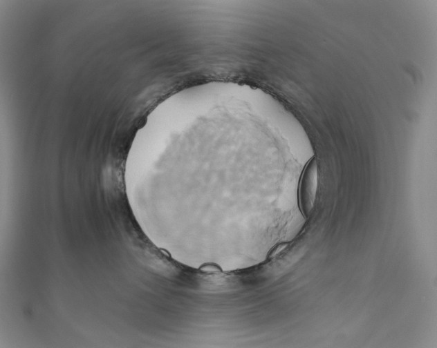 X0000110970432200907101352