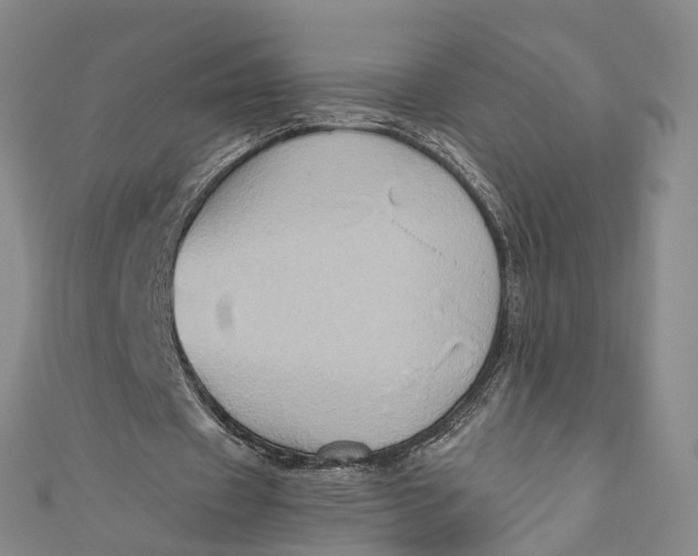 X0000110970433200907101352