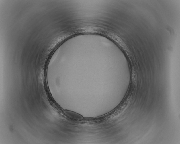 X0000110970434200907101352