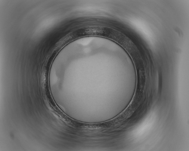 X0000110970435200907101352