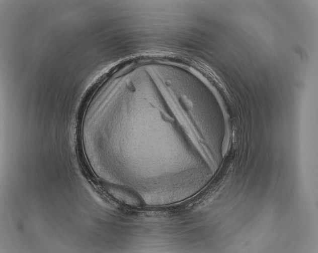 X0000110970436200907101352