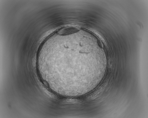 X0000110970437200907101352