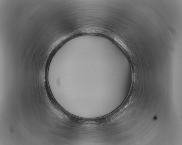 X0000110970438200907101352