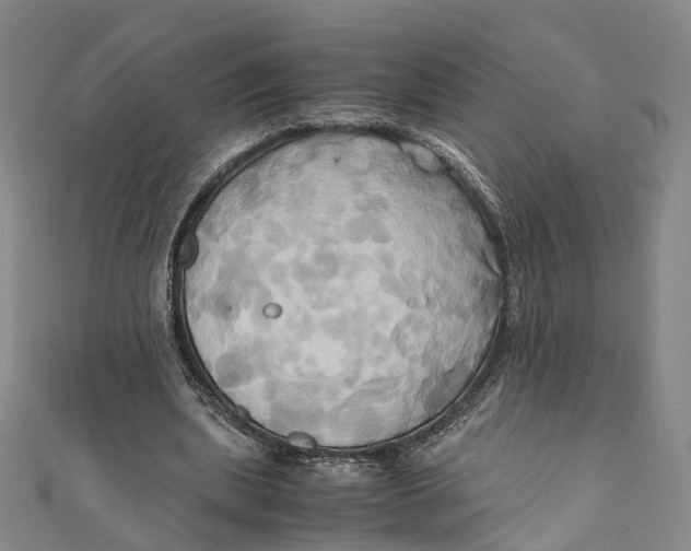 X0000110970439200907101352