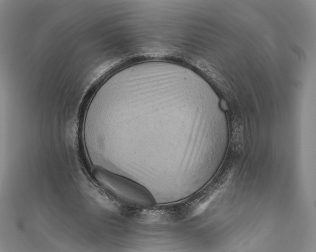 X0000110970440200907101352