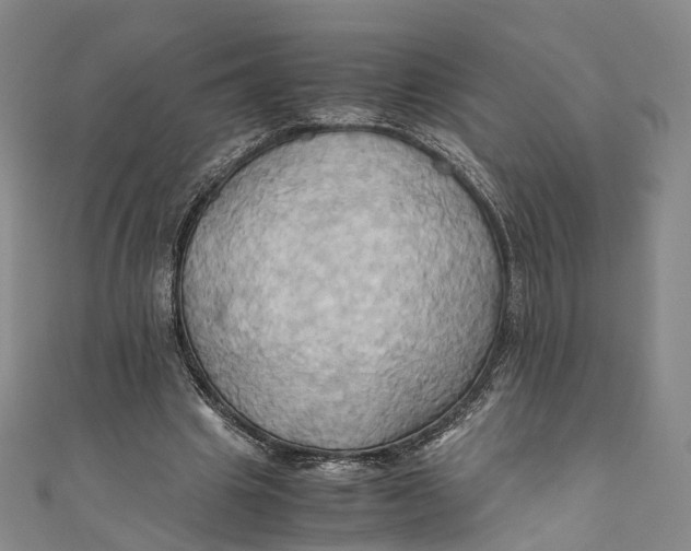 X0000110970441200907101352