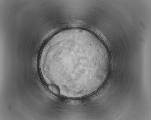 X0000110970442200907101352