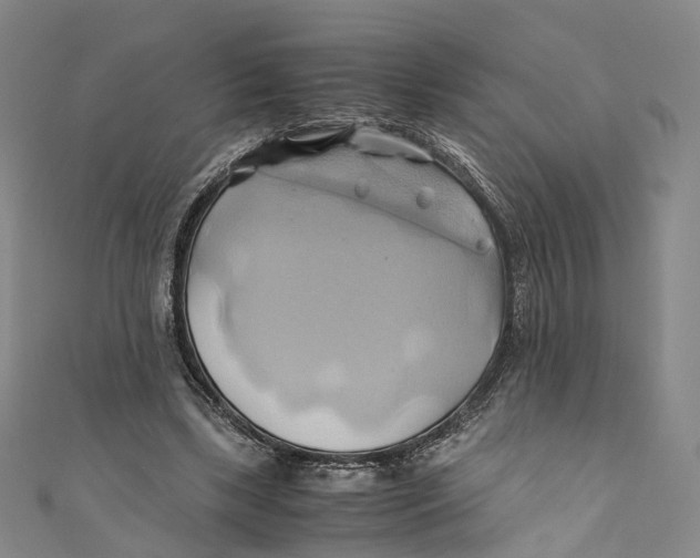 X0000110970443200907101352