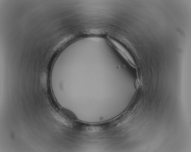 X0000110970444200907101352