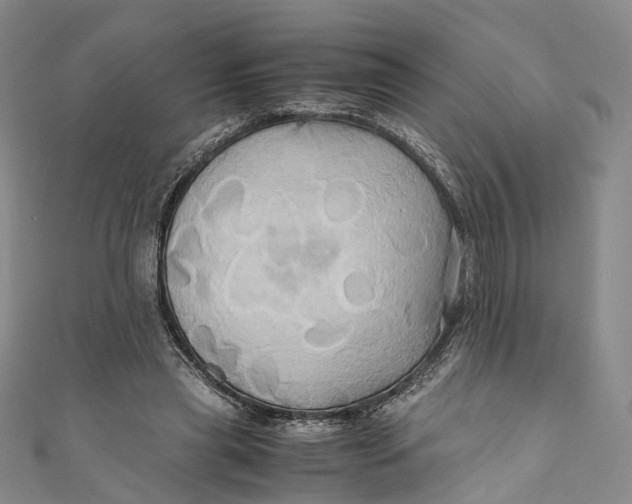 X0000110970445200907101352