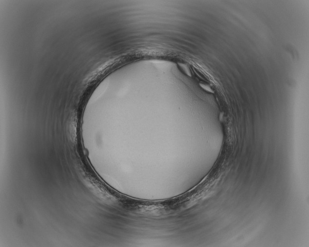 X0000110970446200907101352