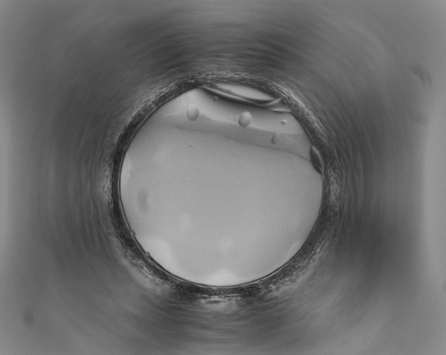 X0000110970447200907101352